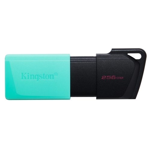 [128903] Kingston - Exodia M Memoria USB 256GB - USB 3.2 Gen 1 - Capucha móvil - Enganche para Llavero - Color Negro